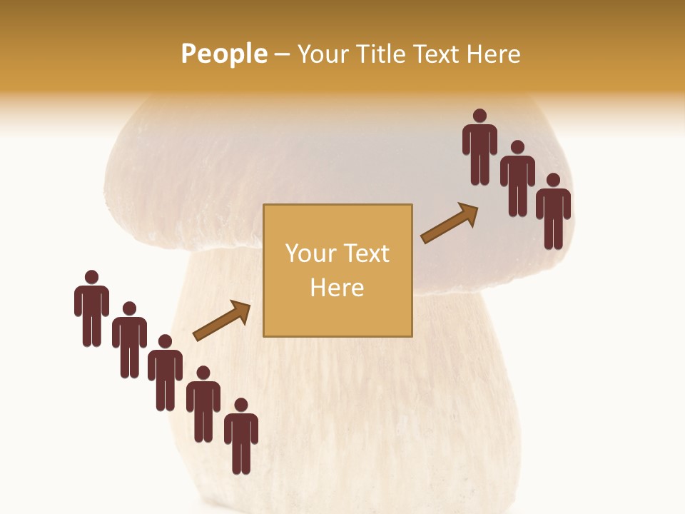 Nobody Background Edible PowerPoint Template