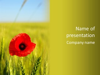 Green Beautiful Poppy PowerPoint Template