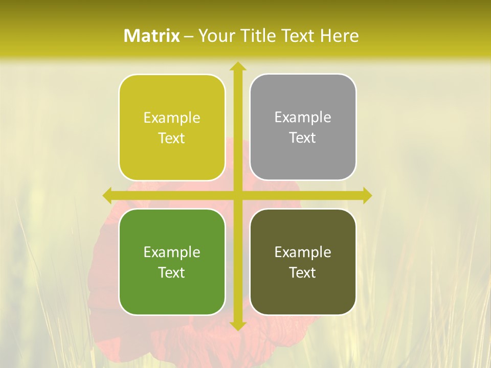 Green Beautiful Poppy PowerPoint Template