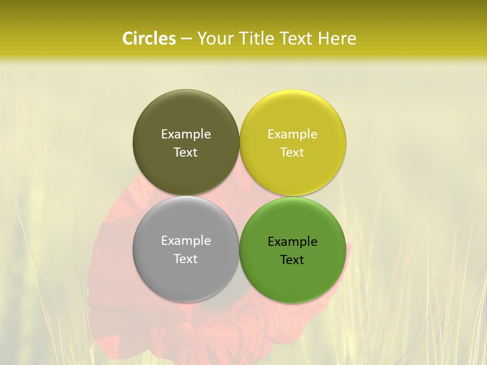 Green Beautiful Poppy PowerPoint Template