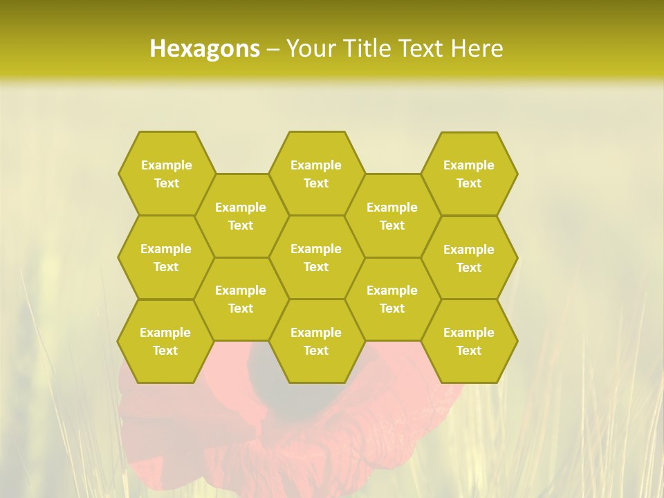 Green Beautiful Poppy PowerPoint Template