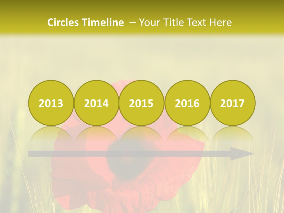 Green Beautiful Poppy PowerPoint Template