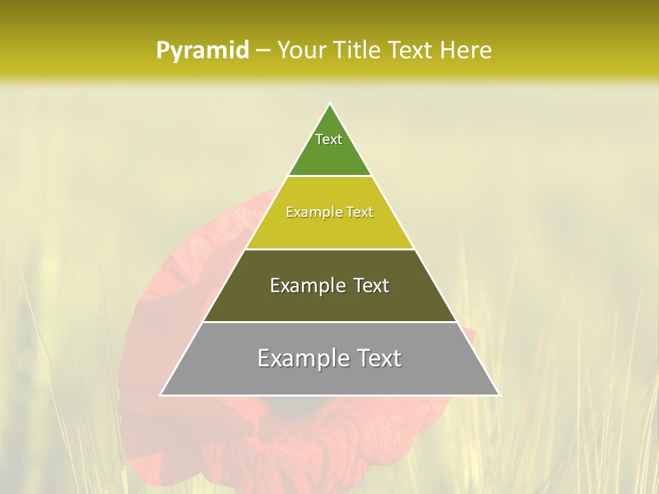 Green Beautiful Poppy PowerPoint Template