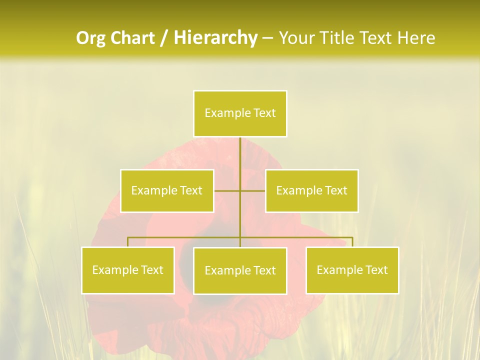 Green Beautiful Poppy PowerPoint Template