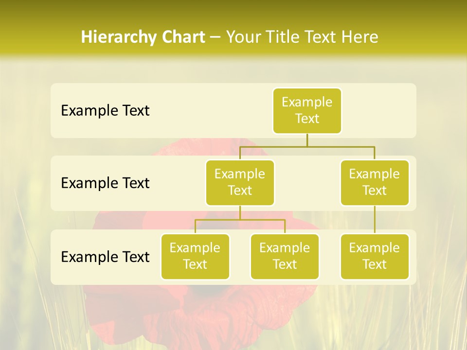 Green Beautiful Poppy PowerPoint Template