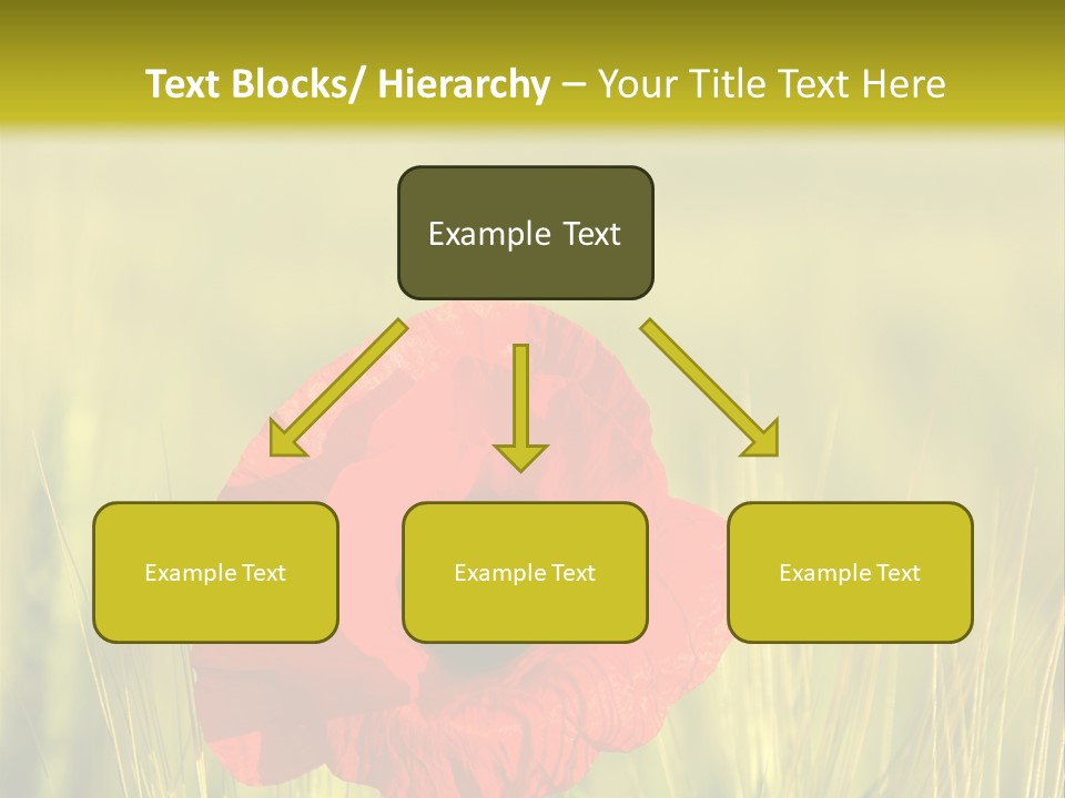 Green Beautiful Poppy PowerPoint Template