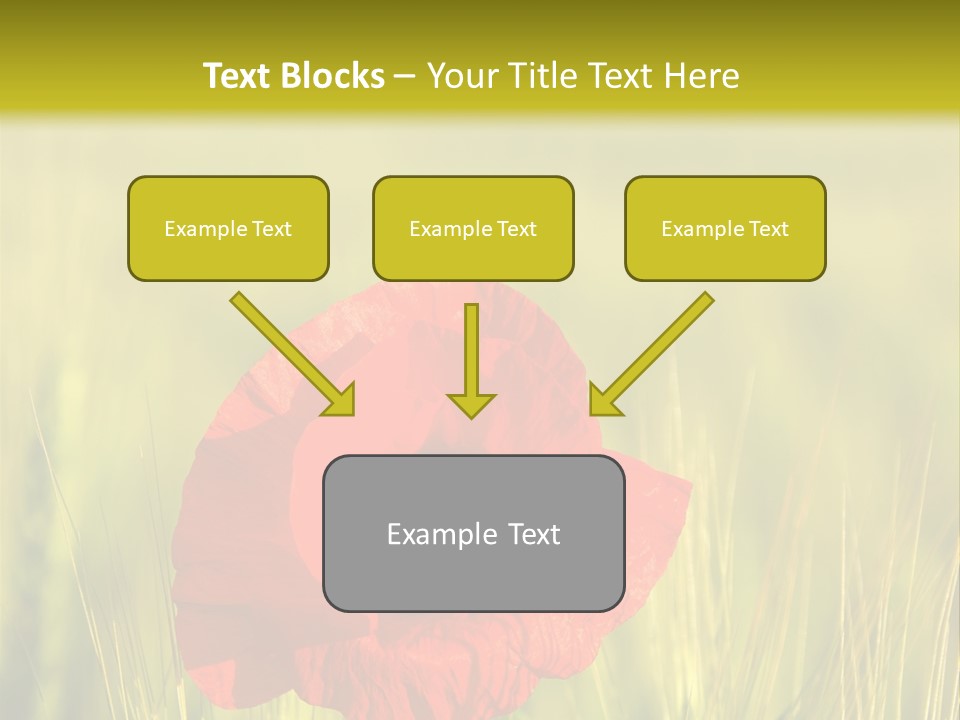 Green Beautiful Poppy PowerPoint Template