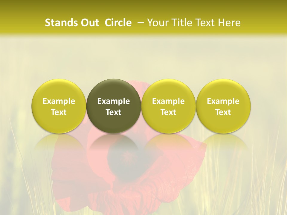 Green Beautiful Poppy PowerPoint Template