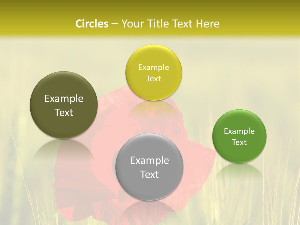 Green Beautiful Poppy PowerPoint Template