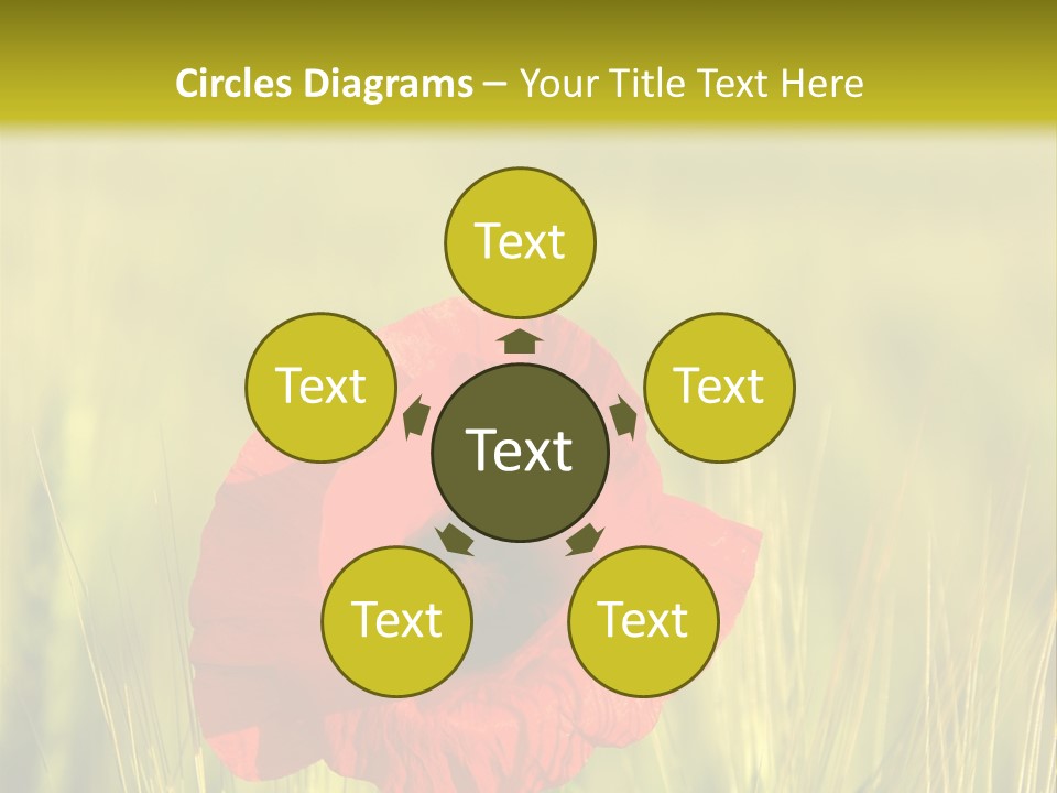 Green Beautiful Poppy PowerPoint Template