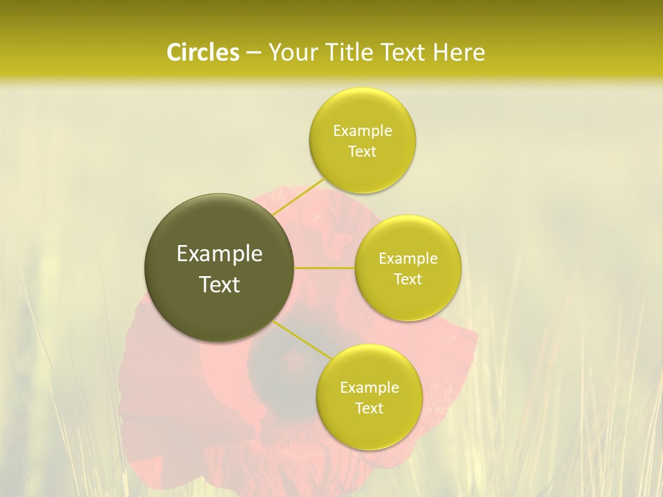 Green Beautiful Poppy PowerPoint Template