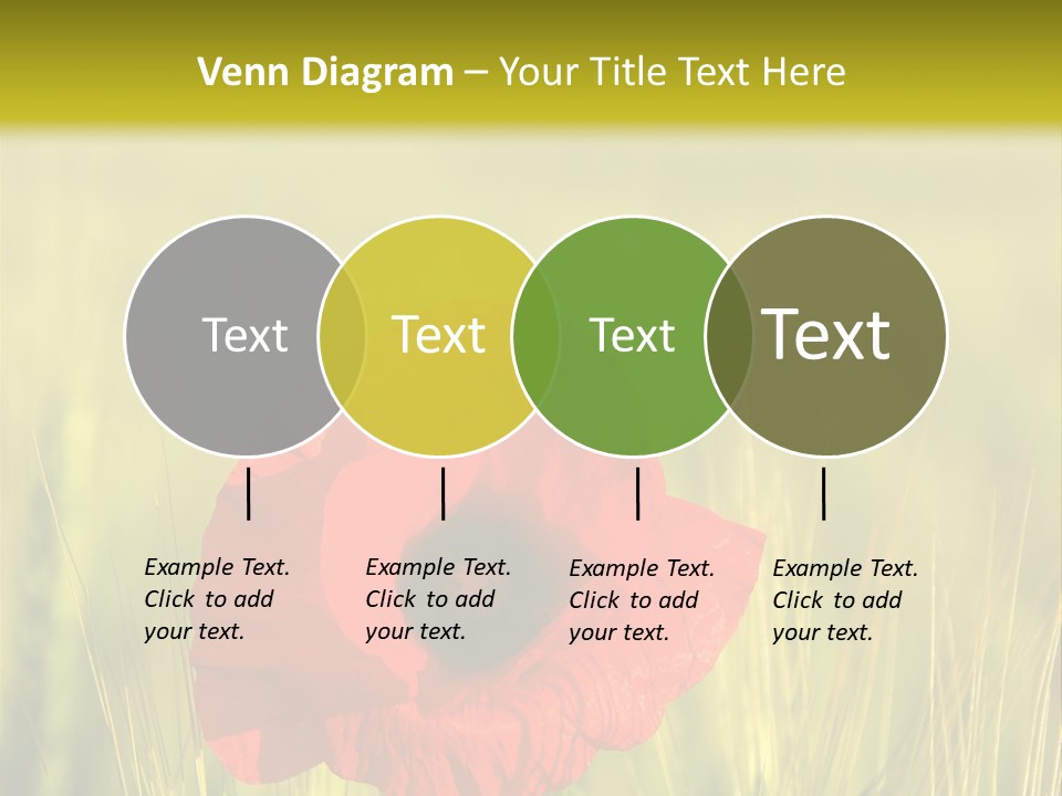Green Beautiful Poppy PowerPoint Template