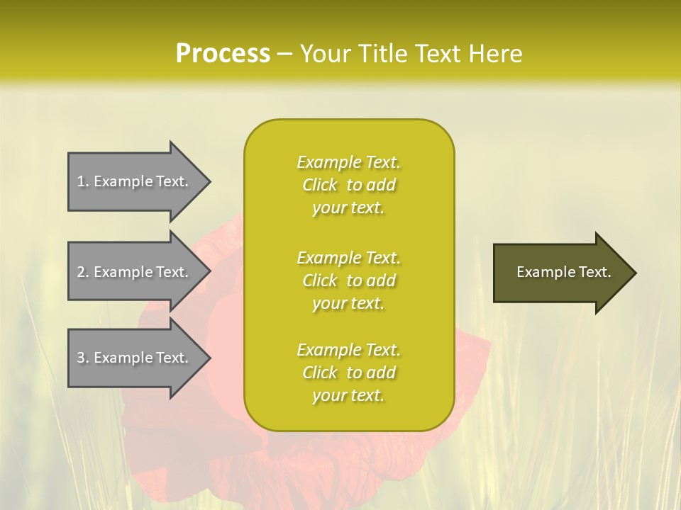 Green Beautiful Poppy PowerPoint Template