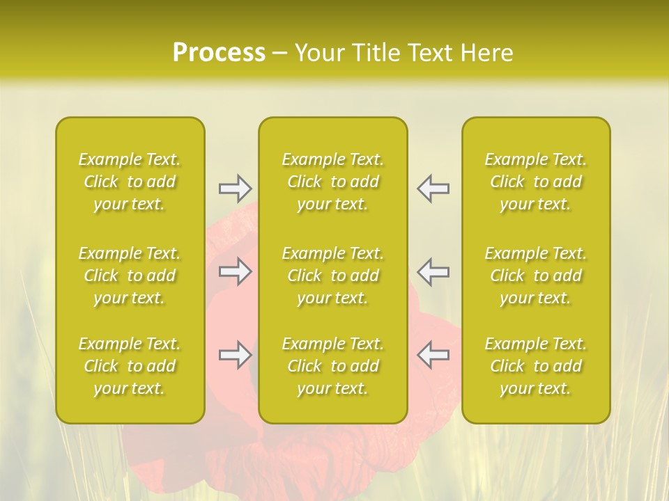 Green Beautiful Poppy PowerPoint Template