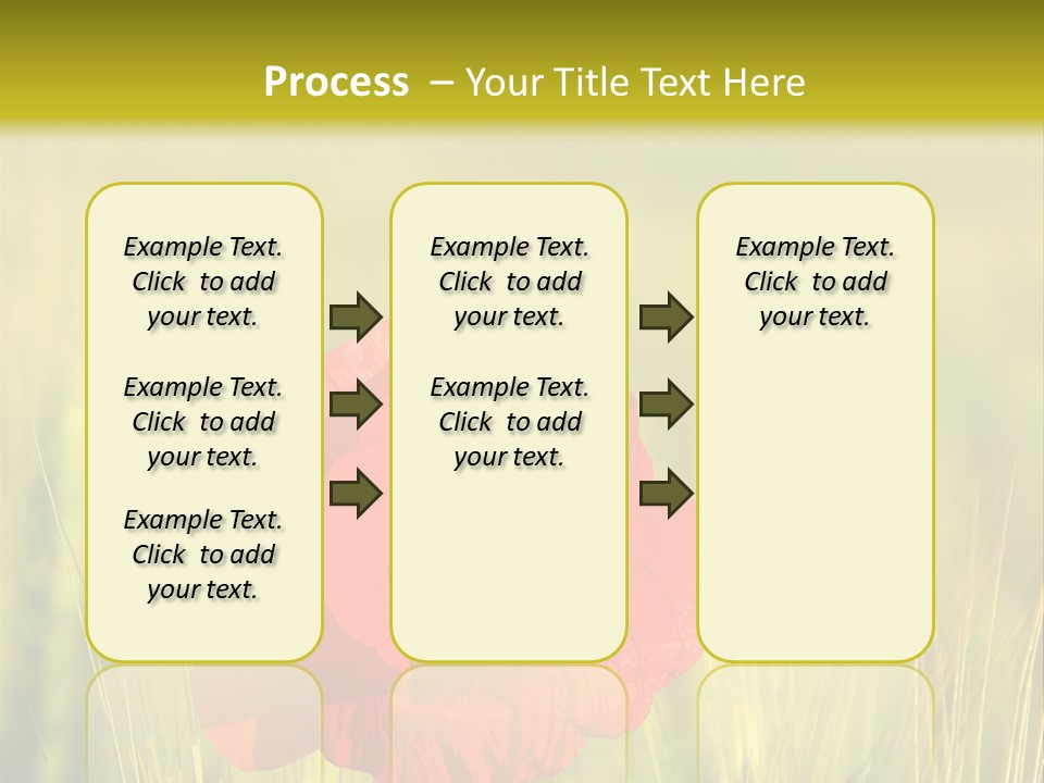 Green Beautiful Poppy PowerPoint Template
