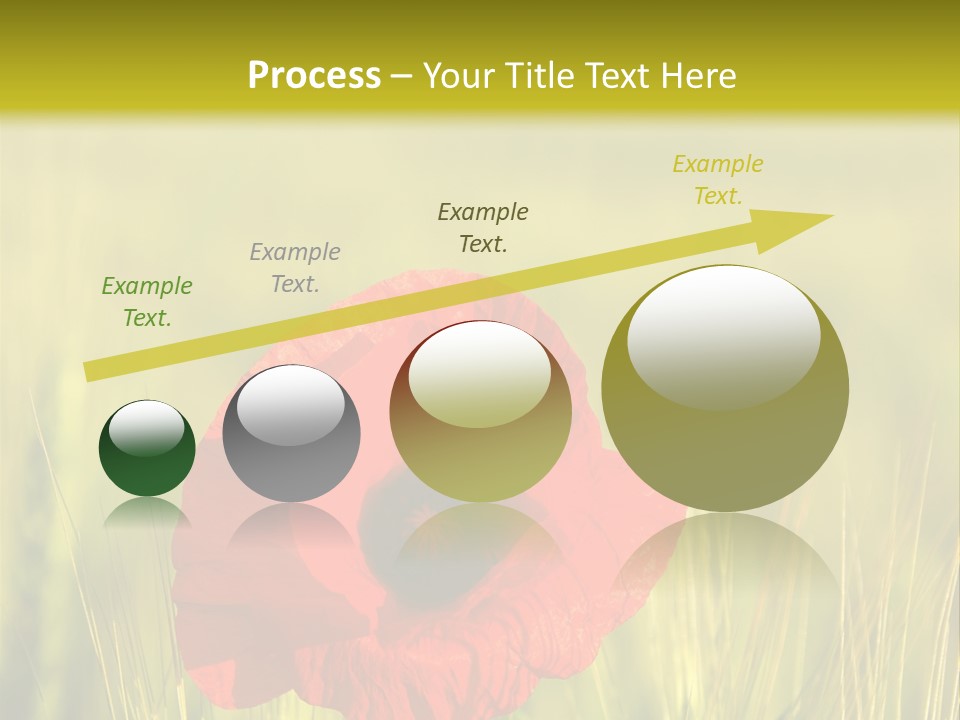 Green Beautiful Poppy PowerPoint Template