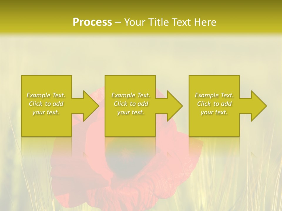 Green Beautiful Poppy PowerPoint Template