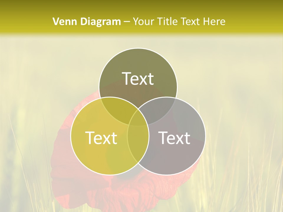 Green Beautiful Poppy PowerPoint Template