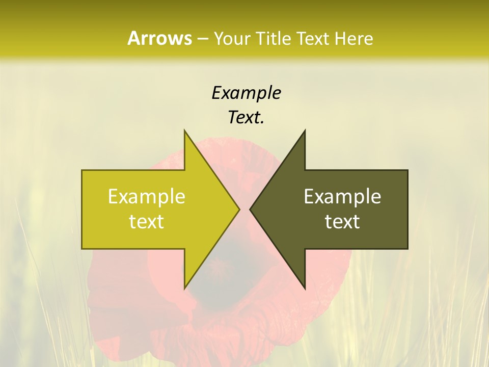 Green Beautiful Poppy PowerPoint Template