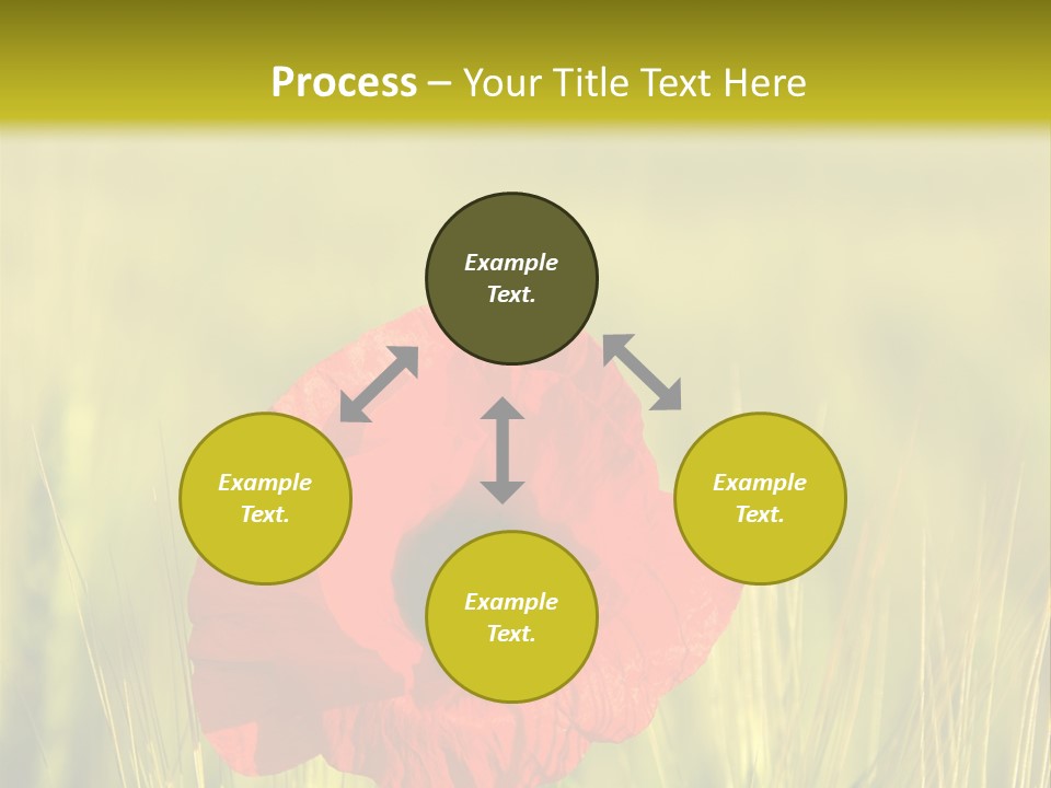 Green Beautiful Poppy PowerPoint Template
