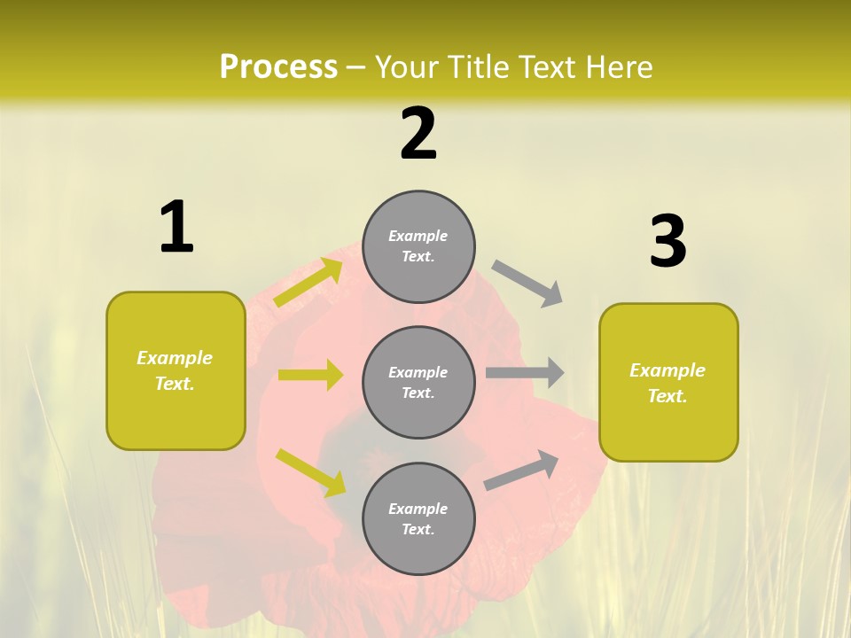 Green Beautiful Poppy PowerPoint Template