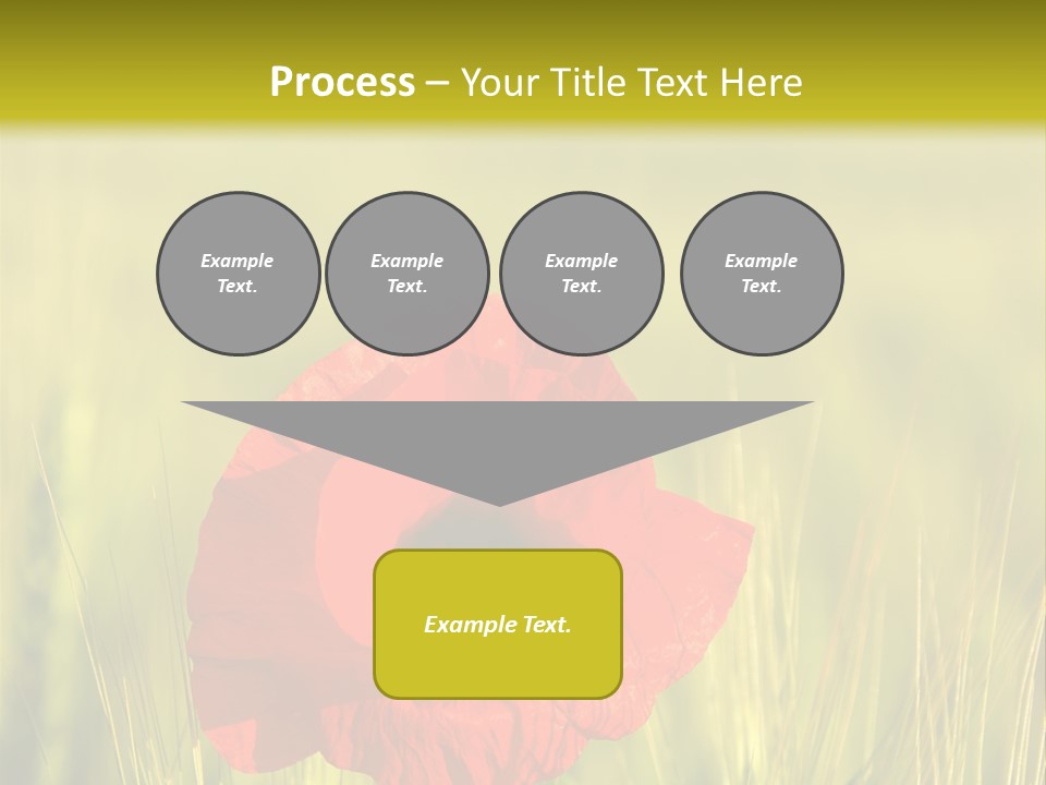 Green Beautiful Poppy PowerPoint Template