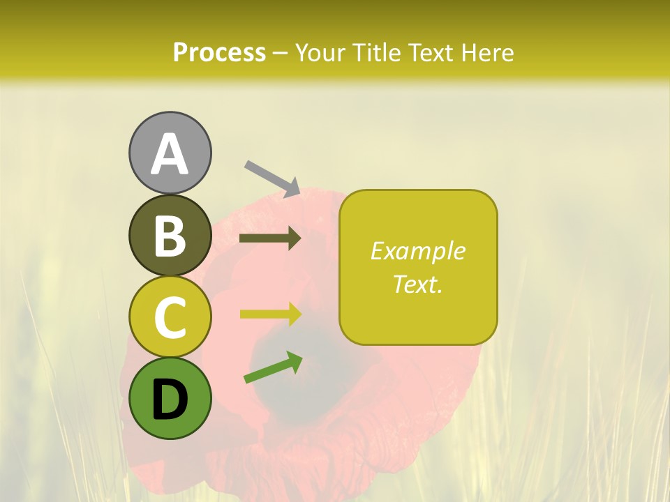 Green Beautiful Poppy PowerPoint Template