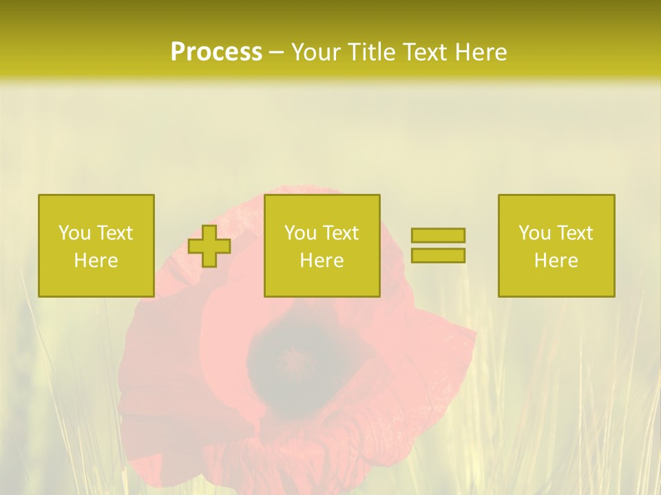 Green Beautiful Poppy PowerPoint Template
