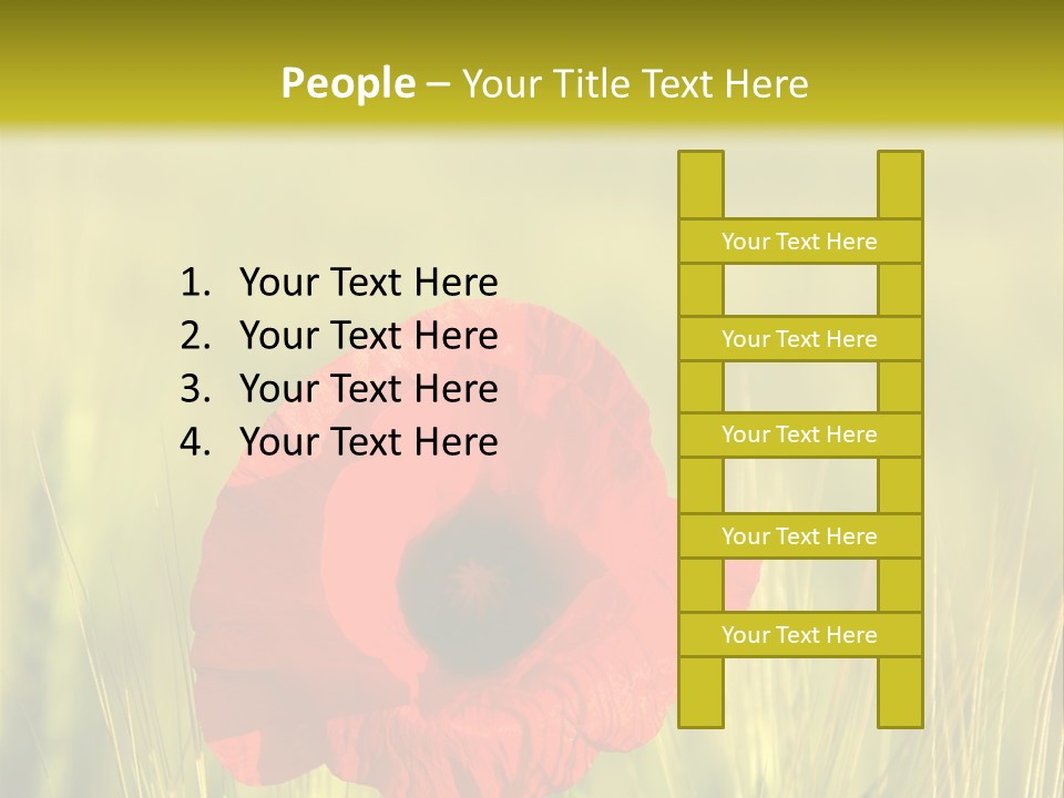 Green Beautiful Poppy PowerPoint Template