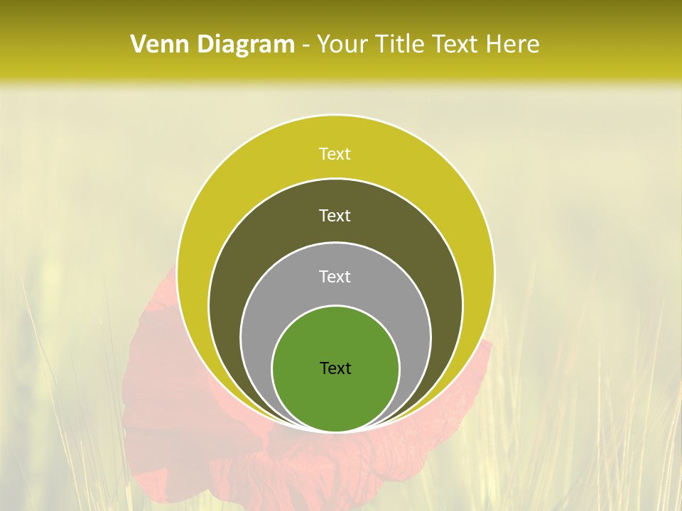 Green Beautiful Poppy PowerPoint Template