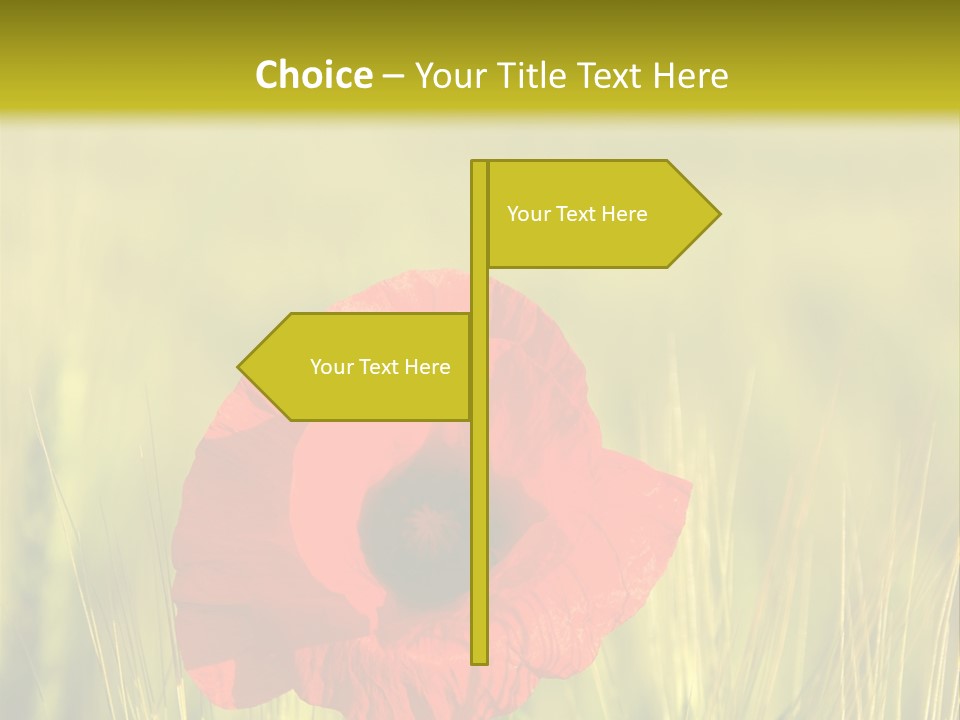 Green Beautiful Poppy PowerPoint Template