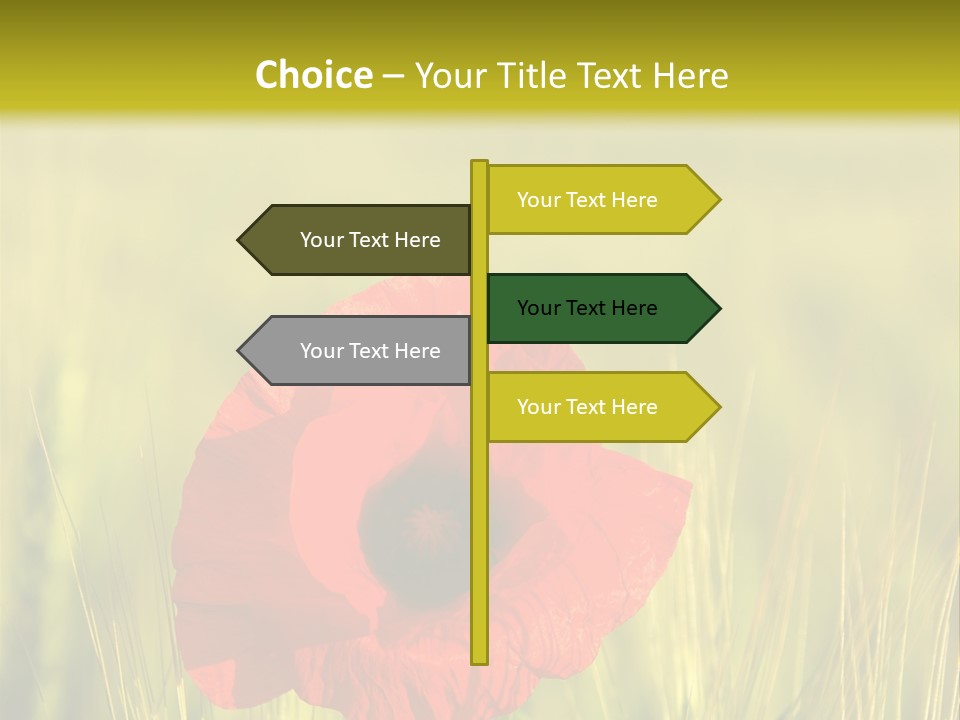 Green Beautiful Poppy PowerPoint Template