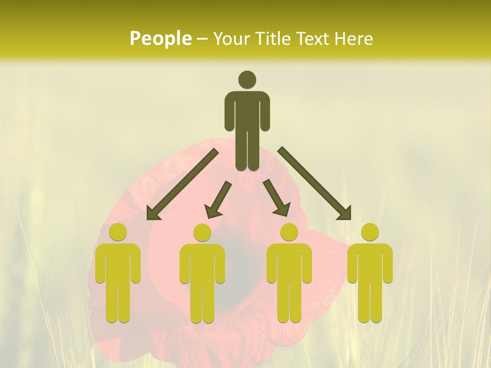 Green Beautiful Poppy PowerPoint Template