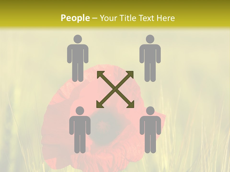 Green Beautiful Poppy PowerPoint Template
