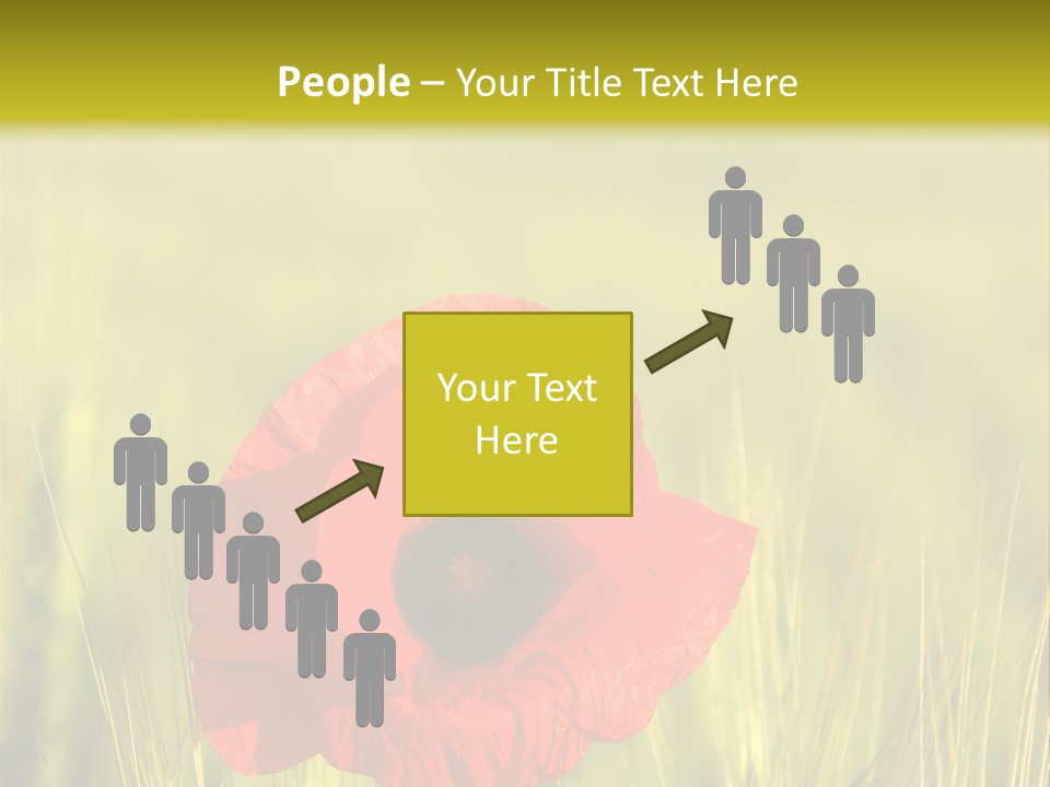 Green Beautiful Poppy PowerPoint Template