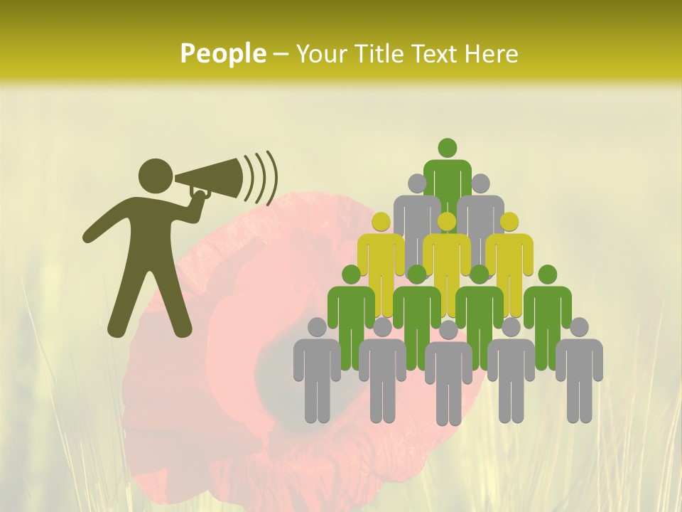 Green Beautiful Poppy PowerPoint Template