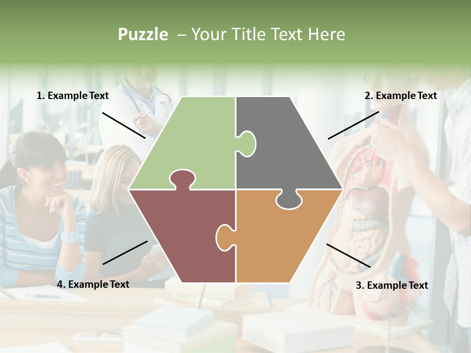 Anatomy Female College PowerPoint Template