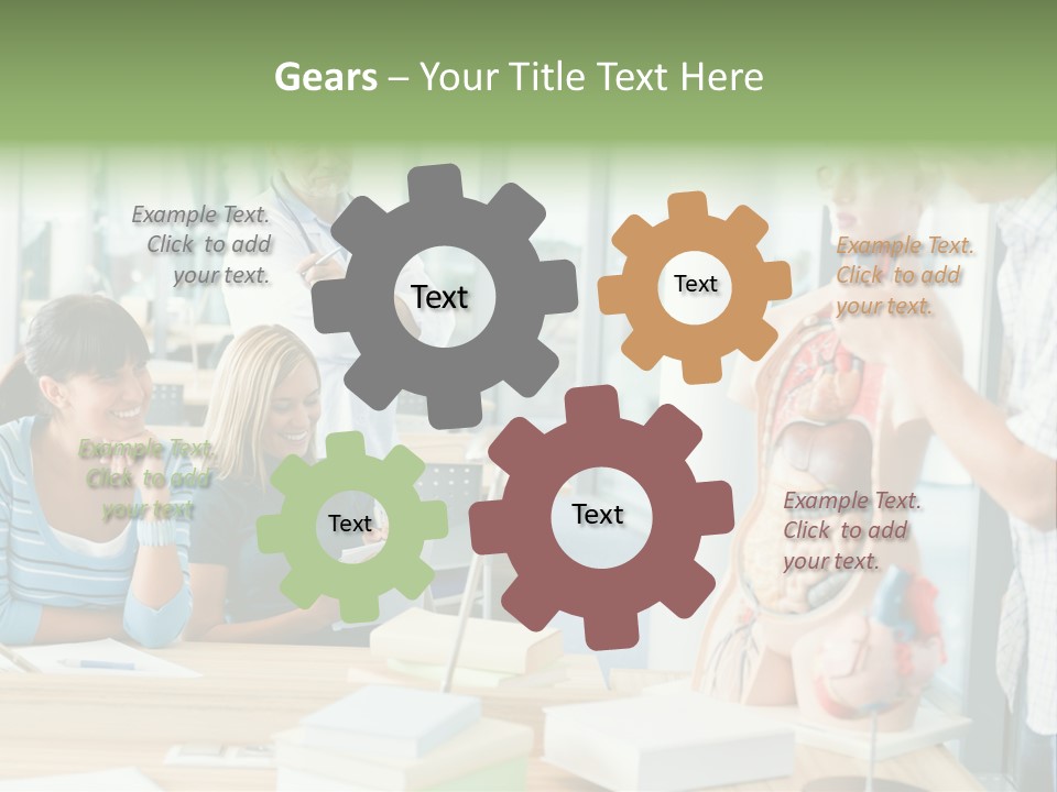 Anatomy Female College PowerPoint Template