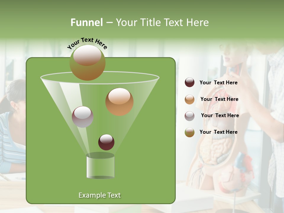 Anatomy Female College PowerPoint Template