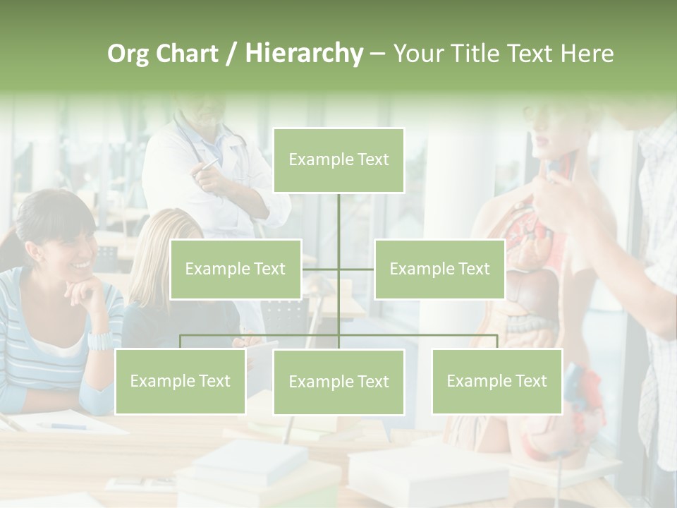 Anatomy Female College PowerPoint Template