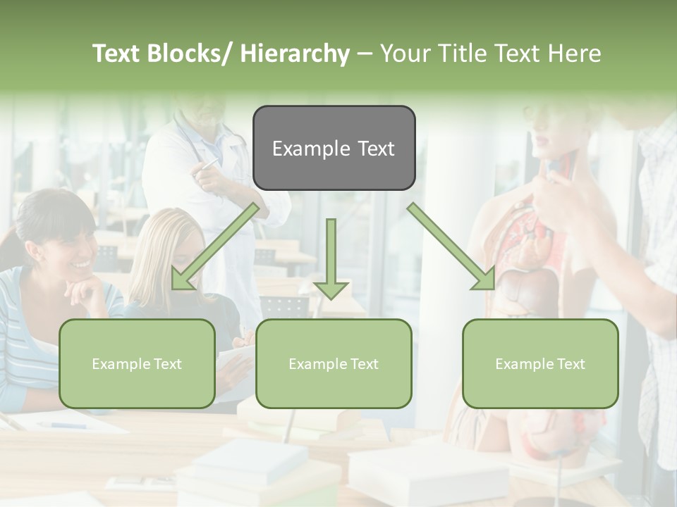 Anatomy Female College PowerPoint Template