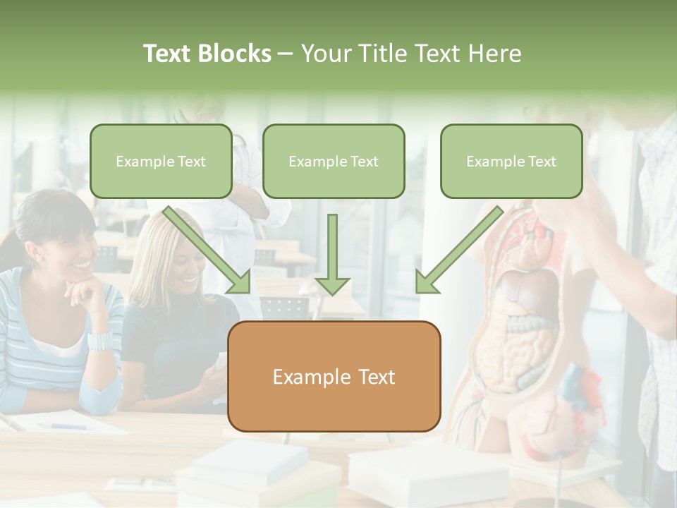 Anatomy Female College PowerPoint Template