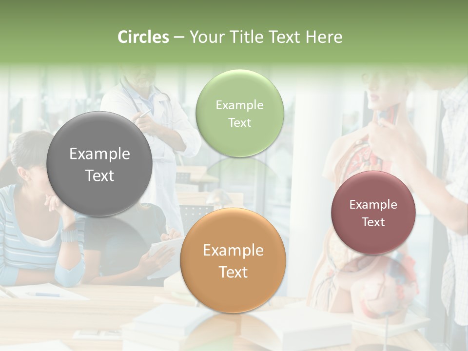 Anatomy Female College PowerPoint Template