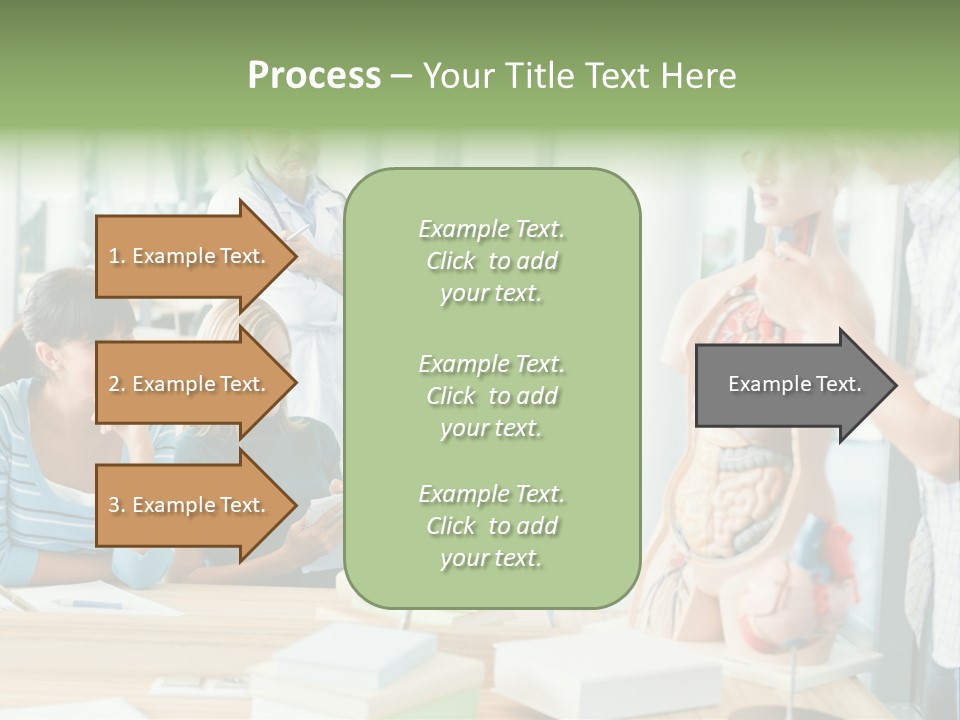 Anatomy Female College PowerPoint Template