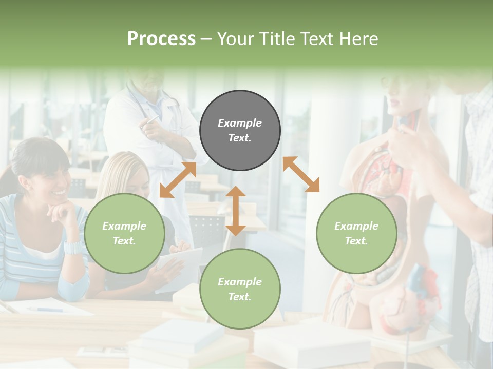 Anatomy Female College PowerPoint Template
