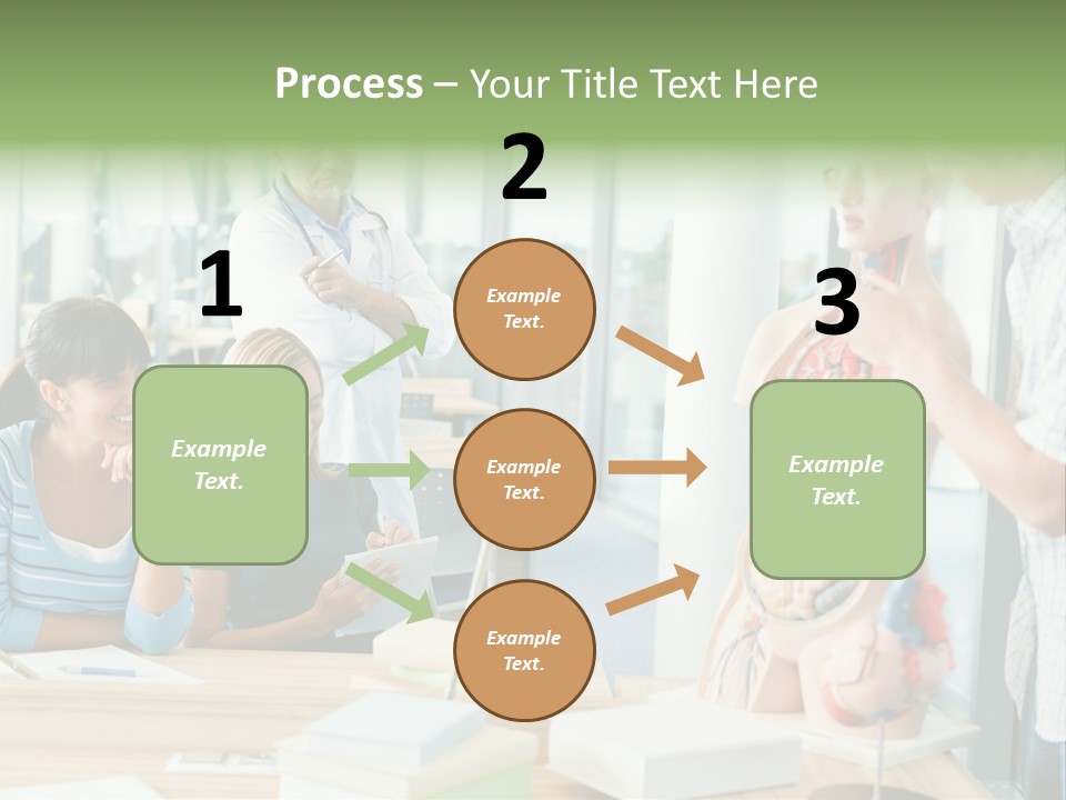 Anatomy Female College PowerPoint Template