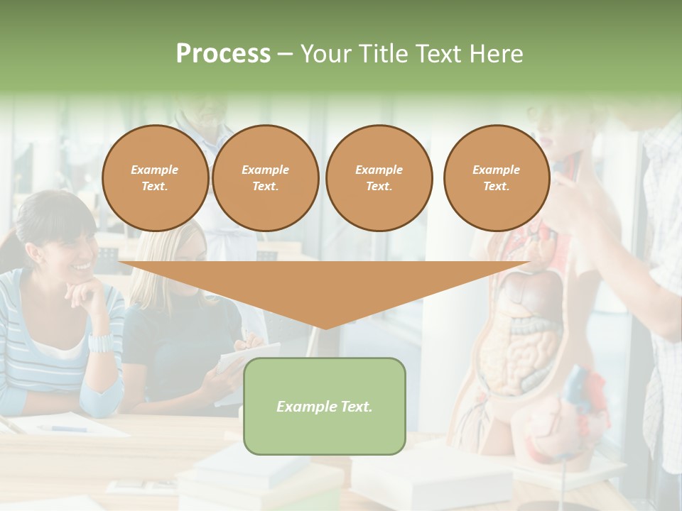 Anatomy Female College PowerPoint Template