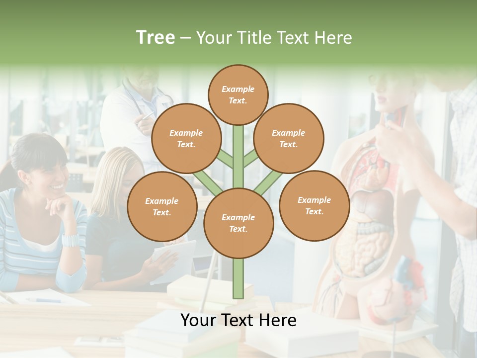 Anatomy Female College PowerPoint Template