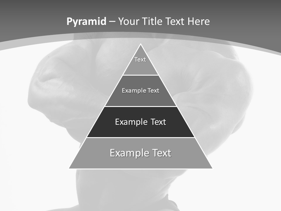 Six Packs Artistic White PowerPoint Template