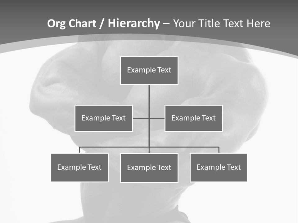 Six Packs Artistic White PowerPoint Template